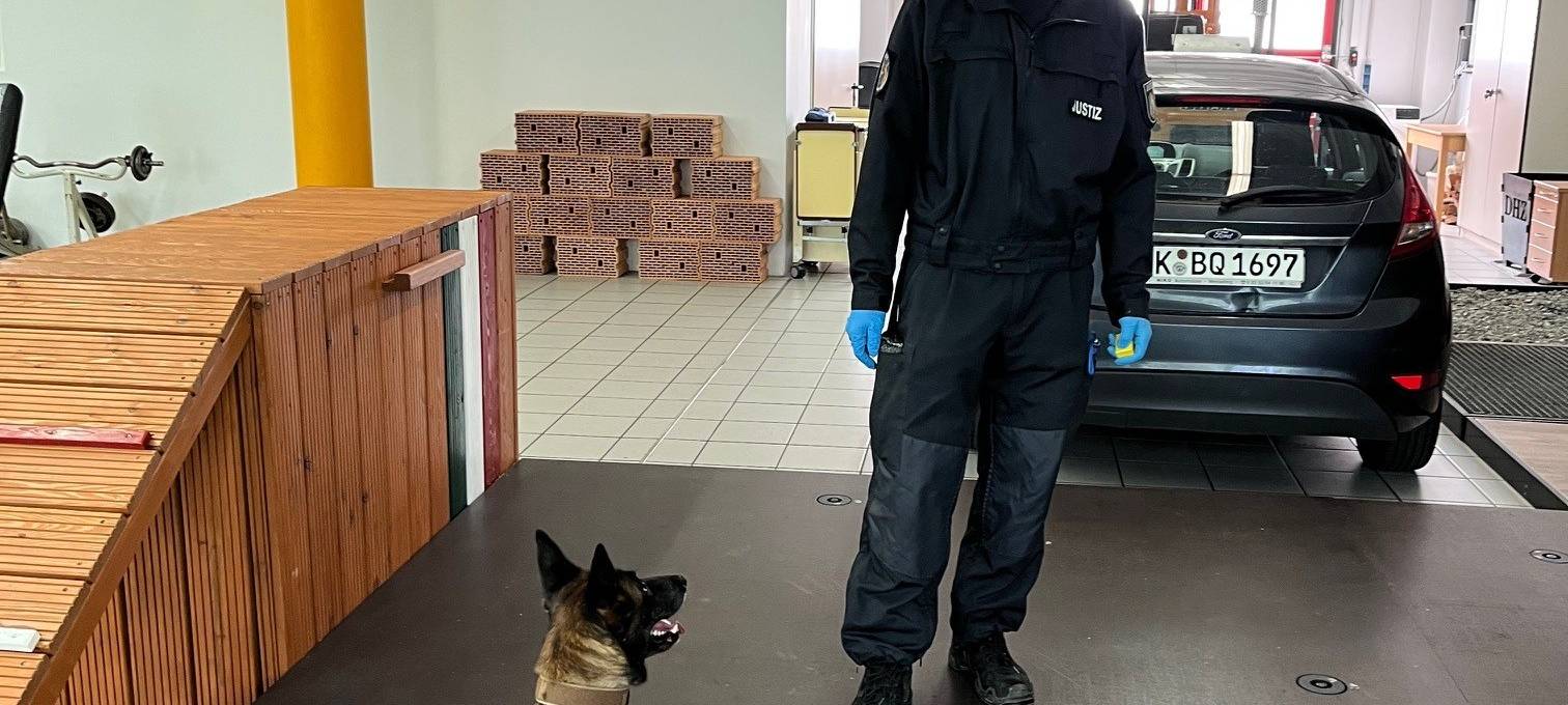 Datenspürhund Alva kann Telefone riechen!