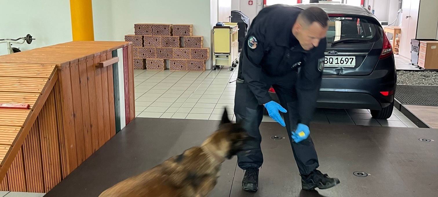 Datenspürhund Alva kann Telefone riechen!