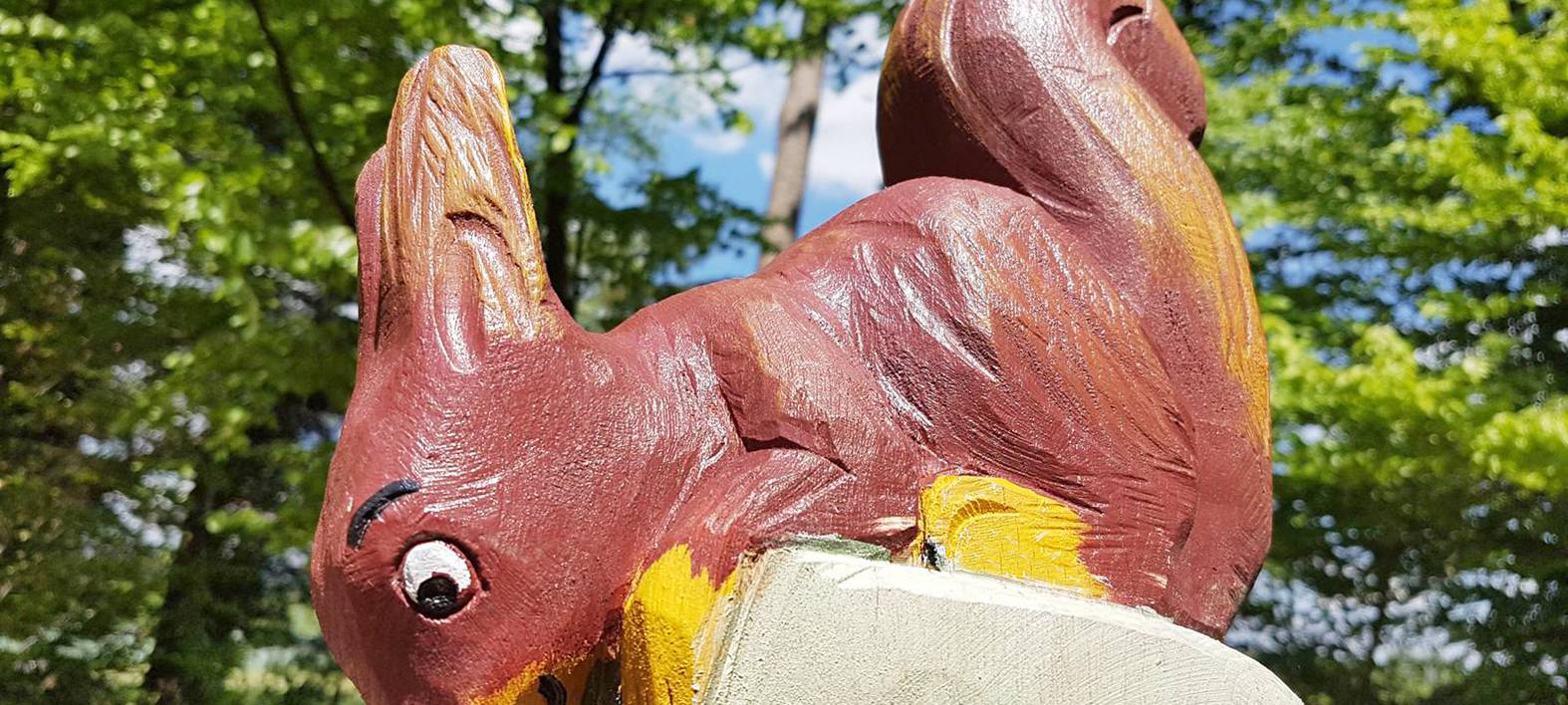 Die gute Nachricht des Tages - Rückblick Mai