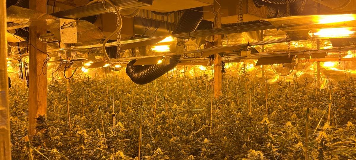 Cannabis-Plantage im Steinbruch Altena
