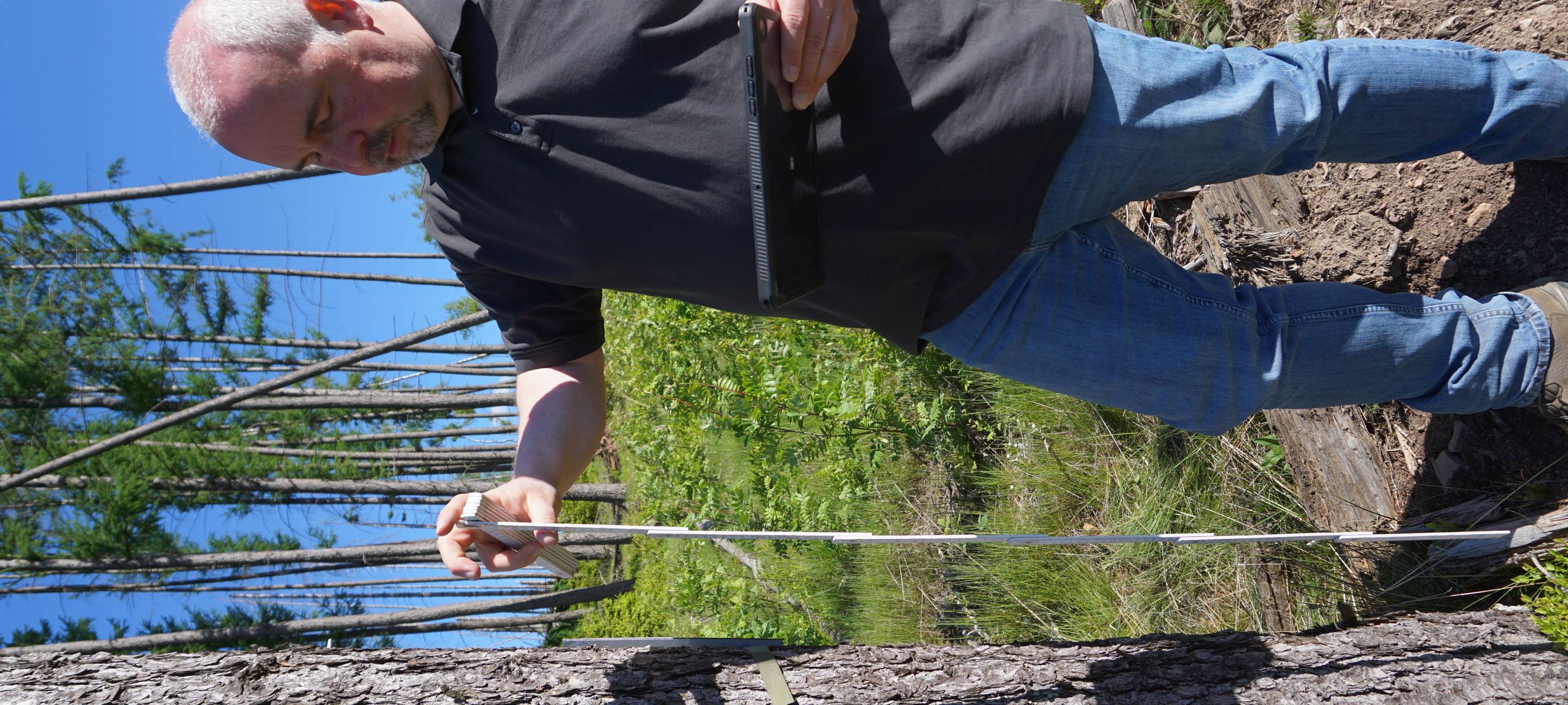 Wolfsmonitoring: Den Wölfen auf der Spur