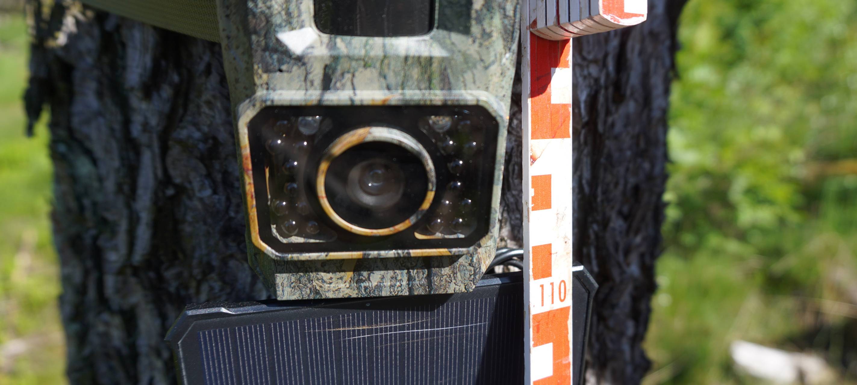 Wolfsmonitoring: Den Wölfen auf der Spur