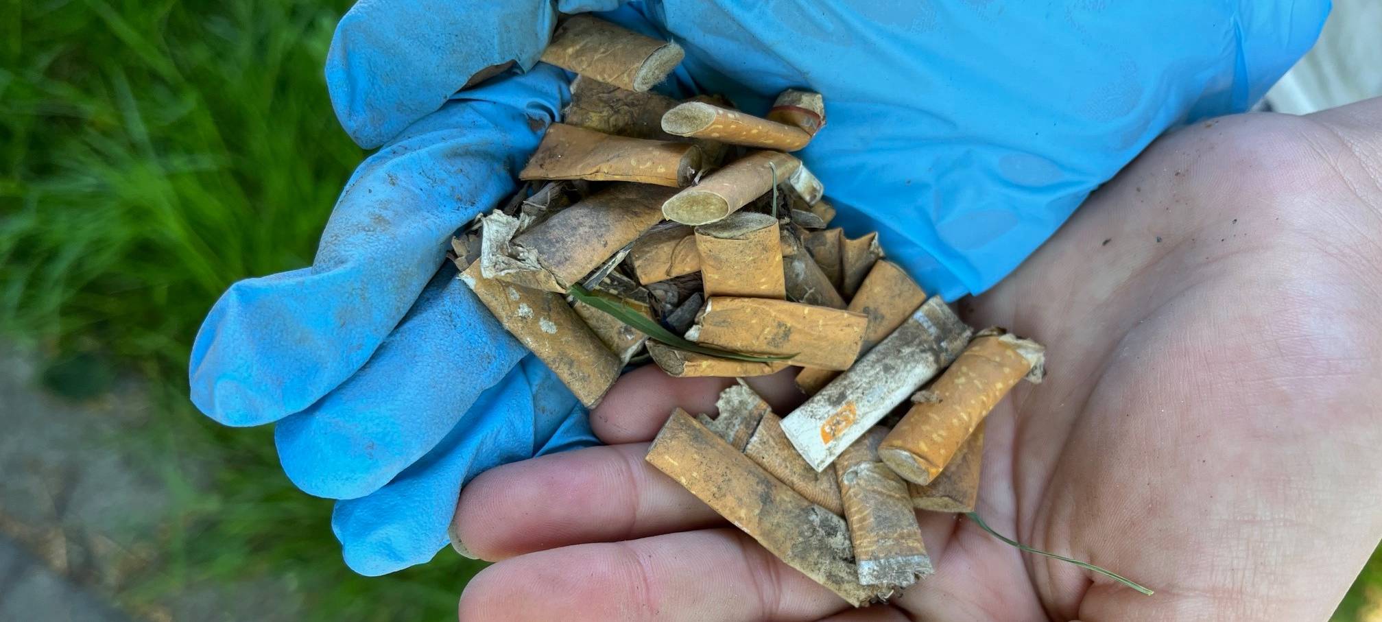 Schüler sammeln säckeweise Müll in Plettenberg