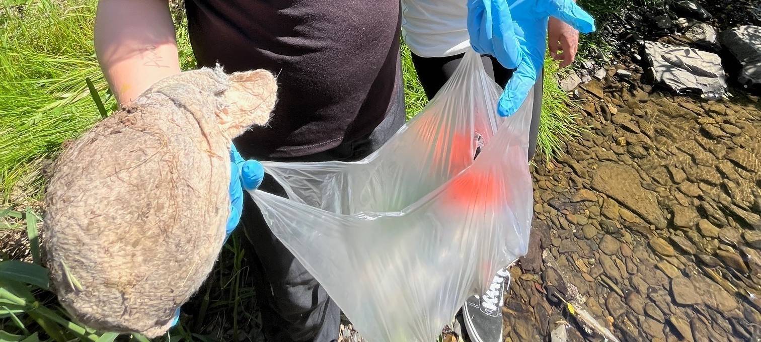 Schüler sammeln säckeweise Müll in Plettenberg