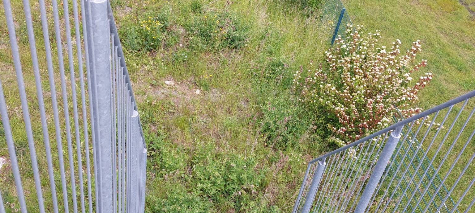 Spatenstich für Dirtpark in Hemer