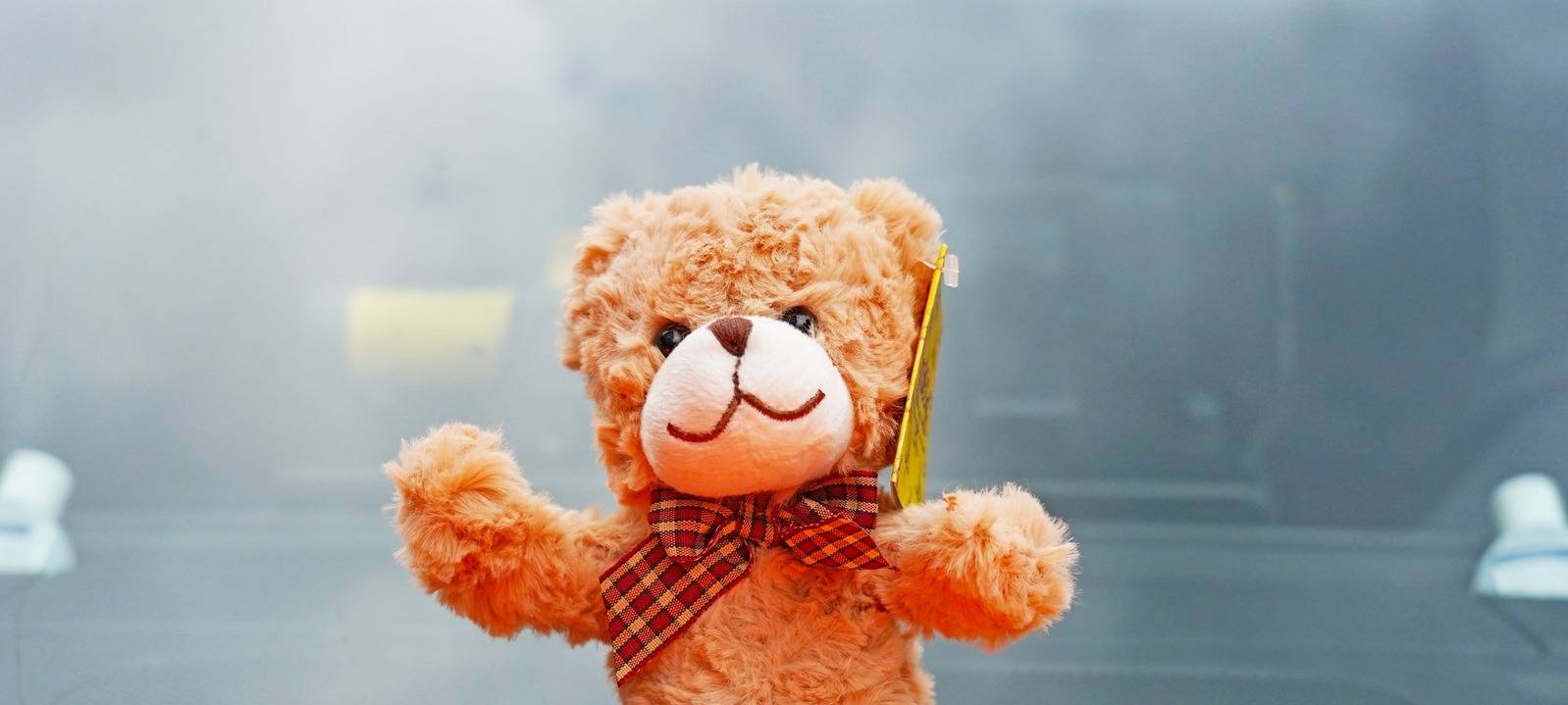 Die gute Nachricht des Tages - Rückblick Juni