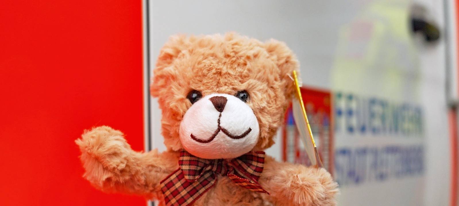 Die gute Nachricht des Tages - Rückblick Juni