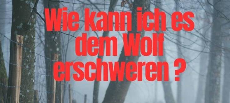 Wolfsschutz-Veranstaltung in Meinerzhagen