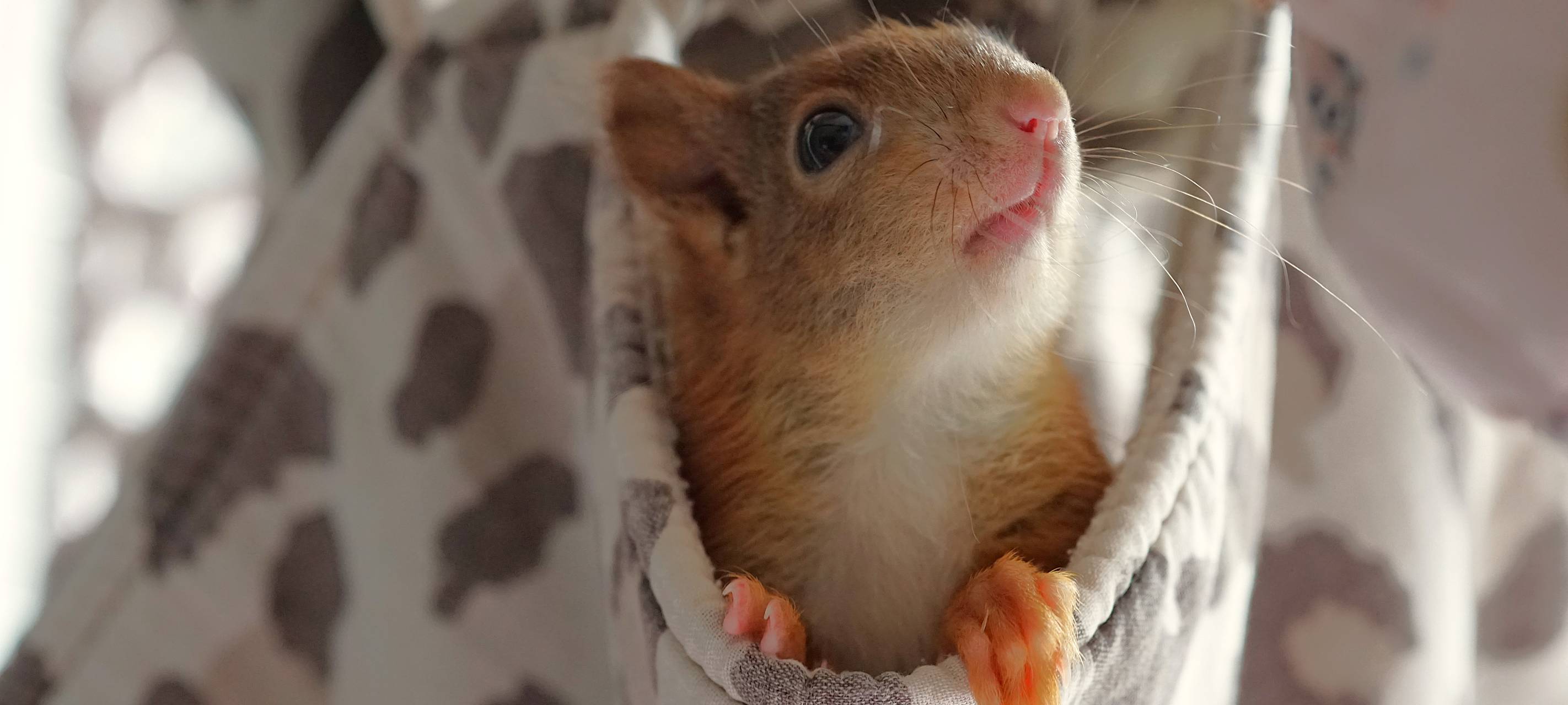 Die gute Nachricht des Tages - Rückblick Juli