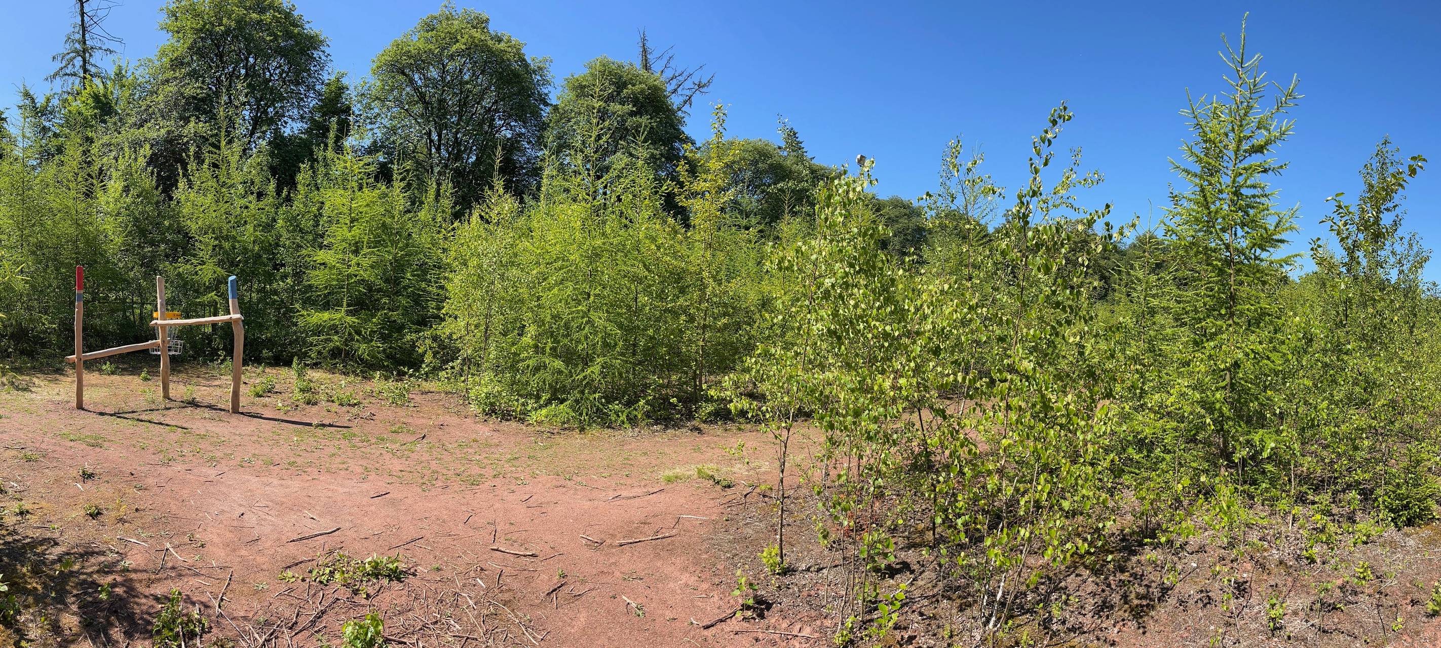 Mitten durchs Auge bringt Punkte...