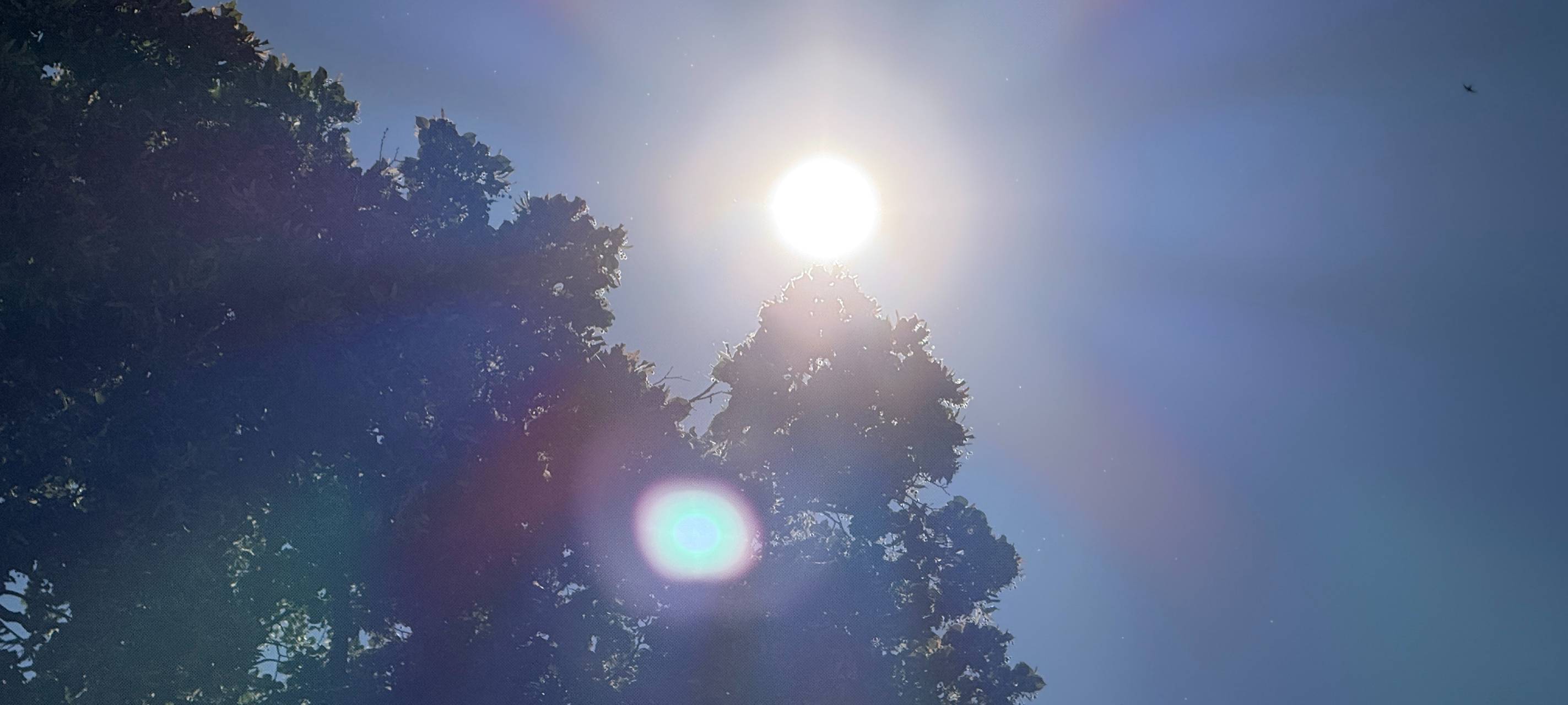 Städte im Märkischen Kreis bereiten sich auf Hitze vor