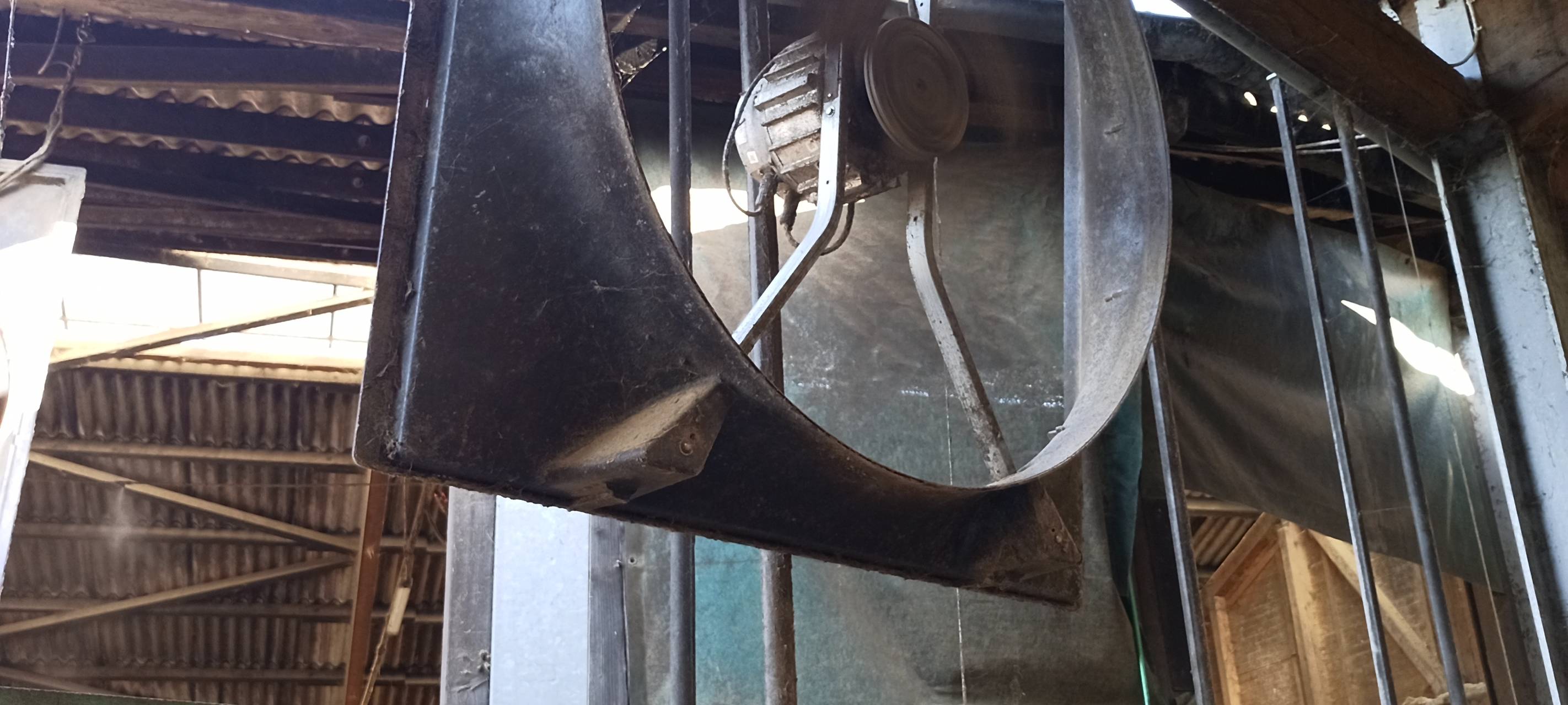 Ventilatoren gegen Hitze im Kuh-Stall in Meinerzhagen