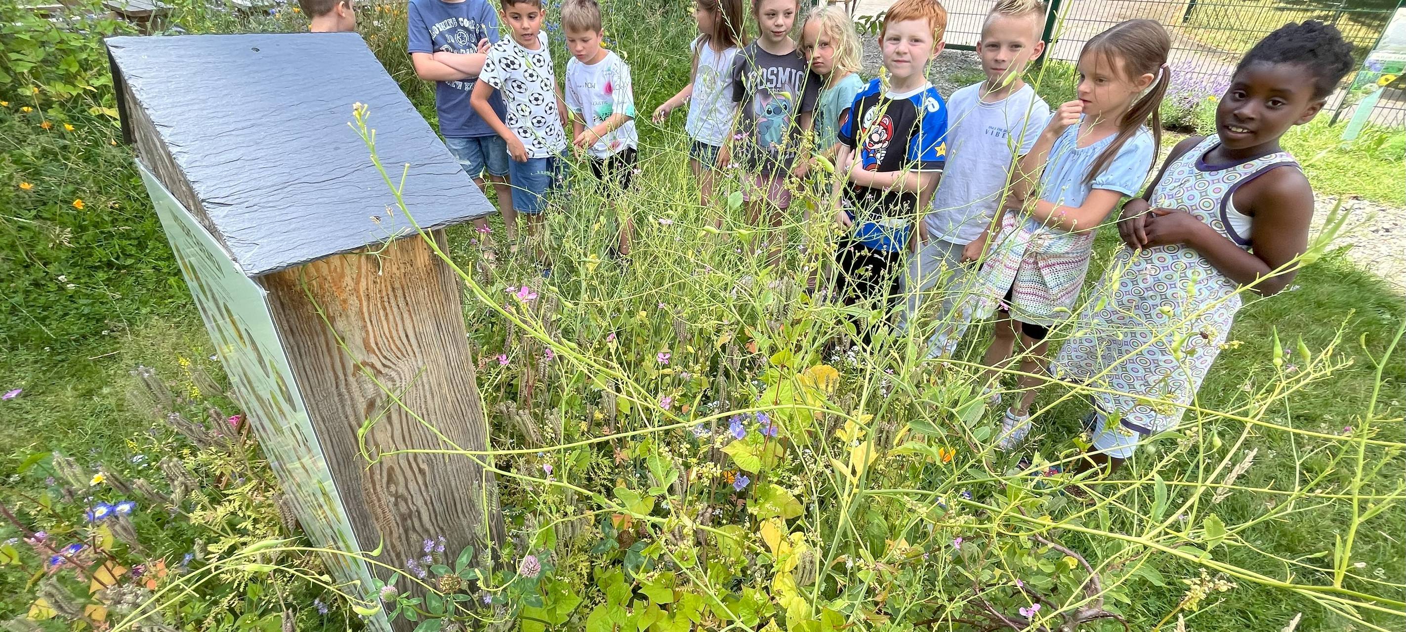 Kleine Gärtner lieben Bienen und: Kirschen