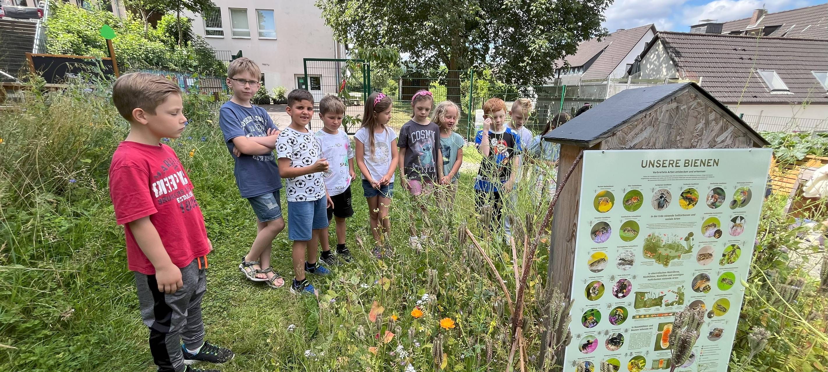 Kleine Gärtner lieben Bienen und: Kirschen