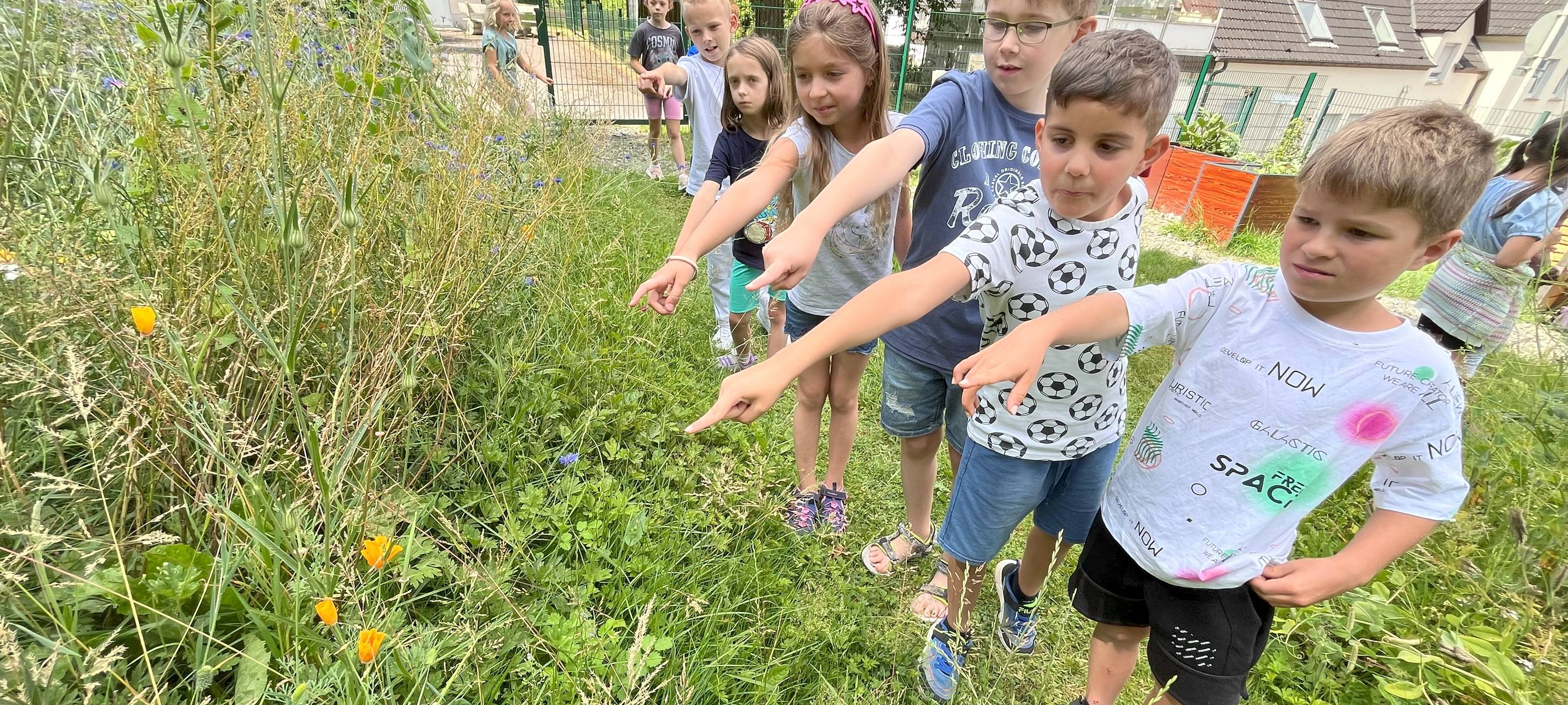 Kleine Gärtner lieben Bienen und: Kirschen