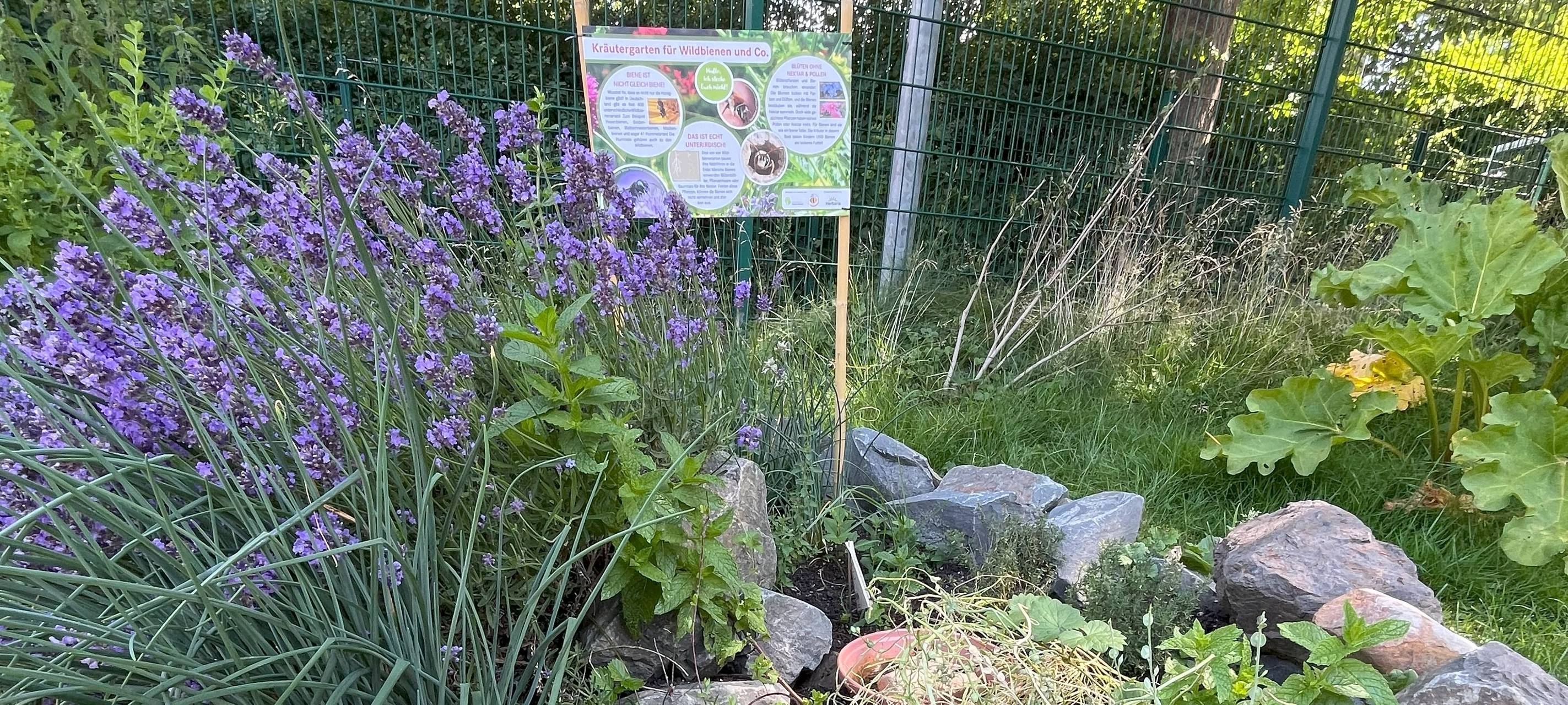 Kleine Gärtner lieben Bienen und: Kirschen