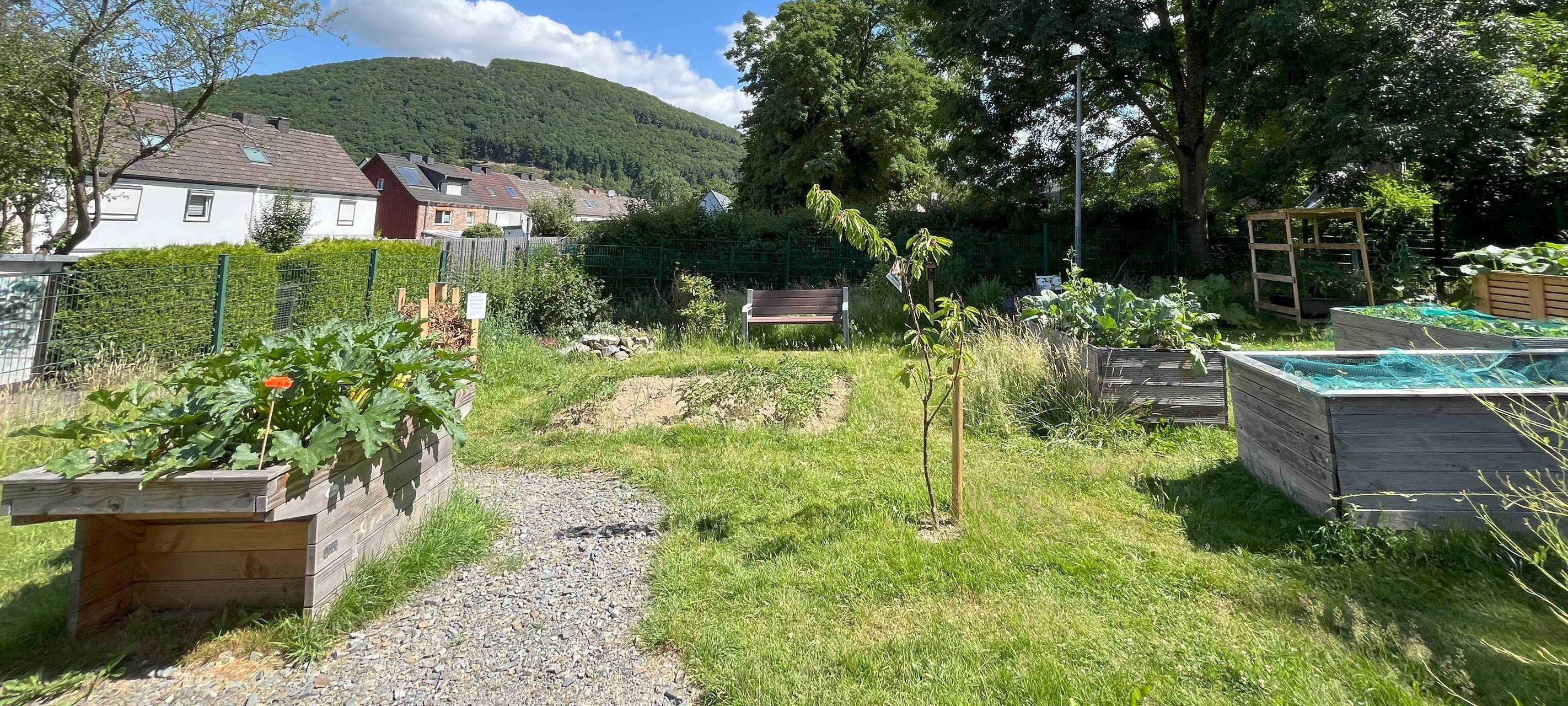 Kleine Gärtner lieben Bienen und: Kirschen