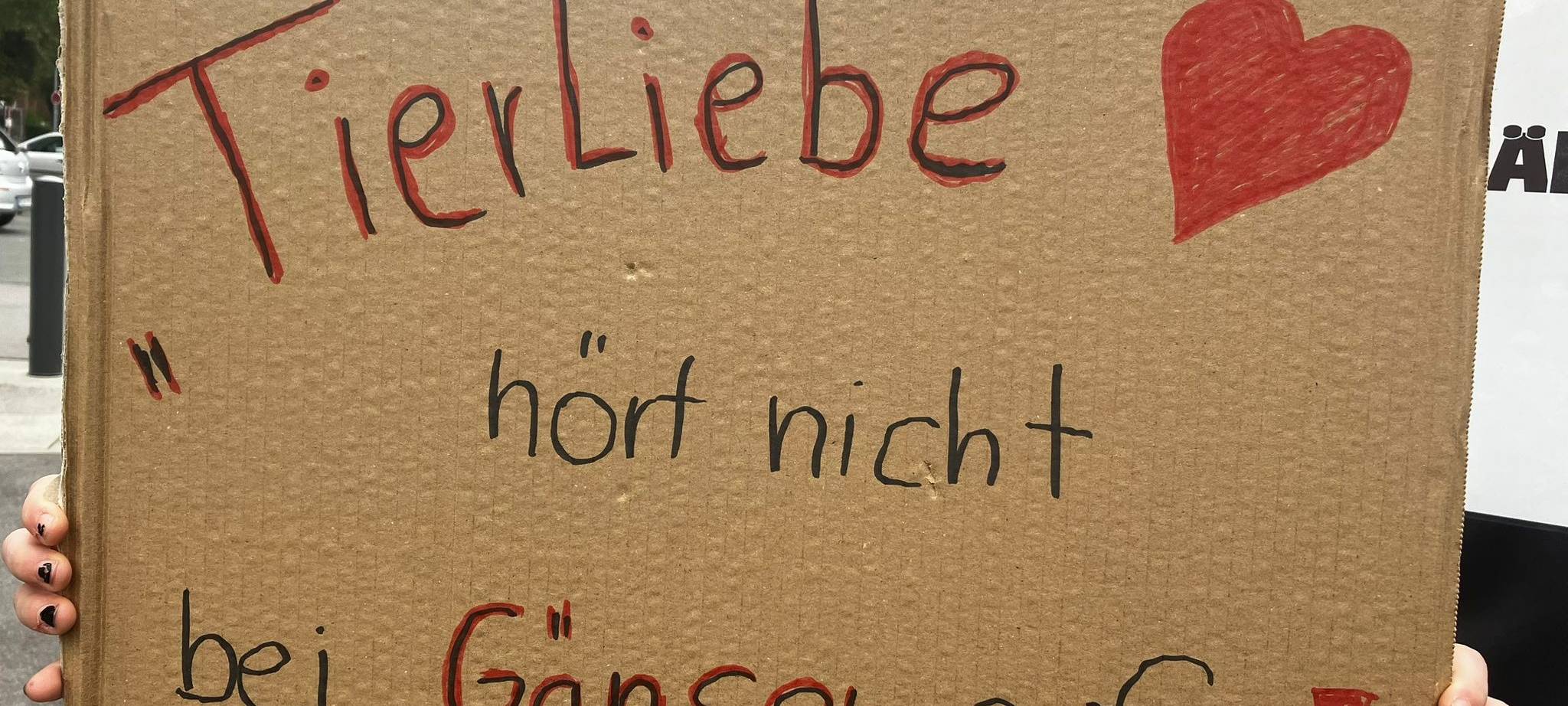 Demo in Letmathe gegen Gänse-Abschuss ohne Erfolg
