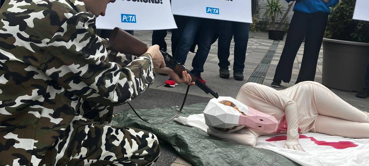 Demo in Letmathe gegen Gänse-Abschuss ohne Erfolg