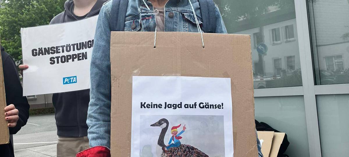 Demo in Letmathe gegen Gänse-Abschuss ohne Erfolg
