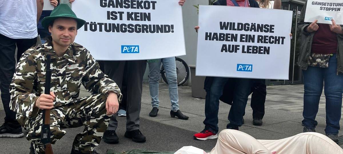Demo in Letmathe gegen Gänse-Abschuss ohne Erfolg