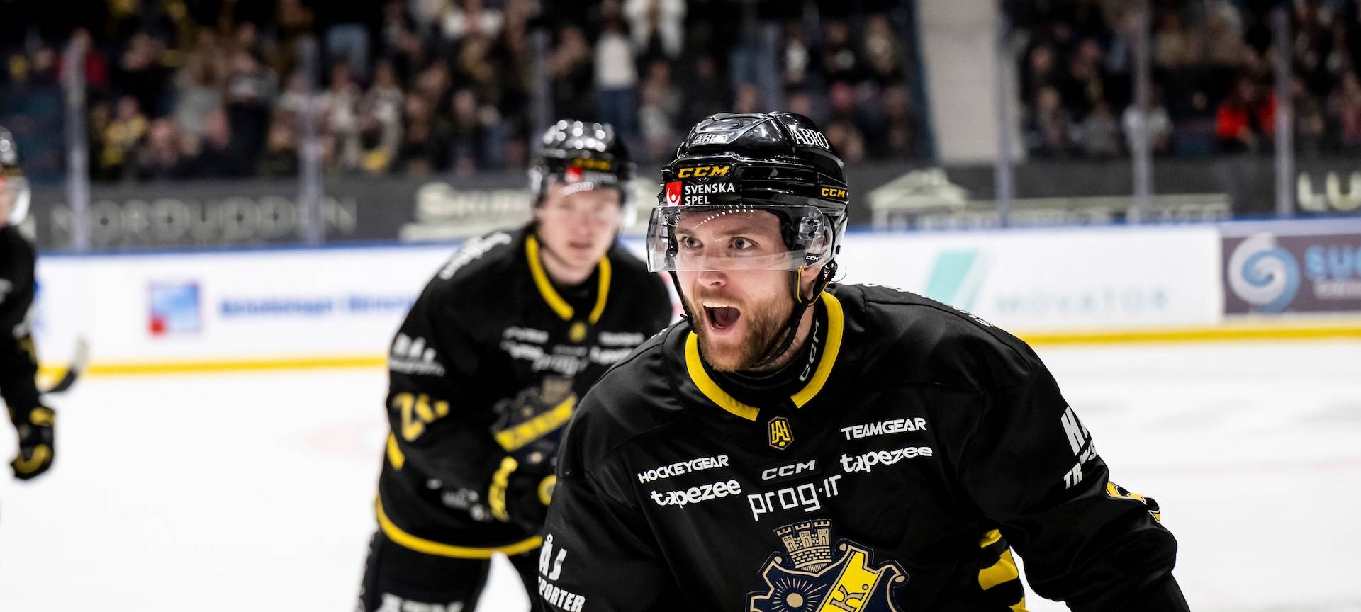 Iserlohn Roosters verpflichten neuen Verteidiger