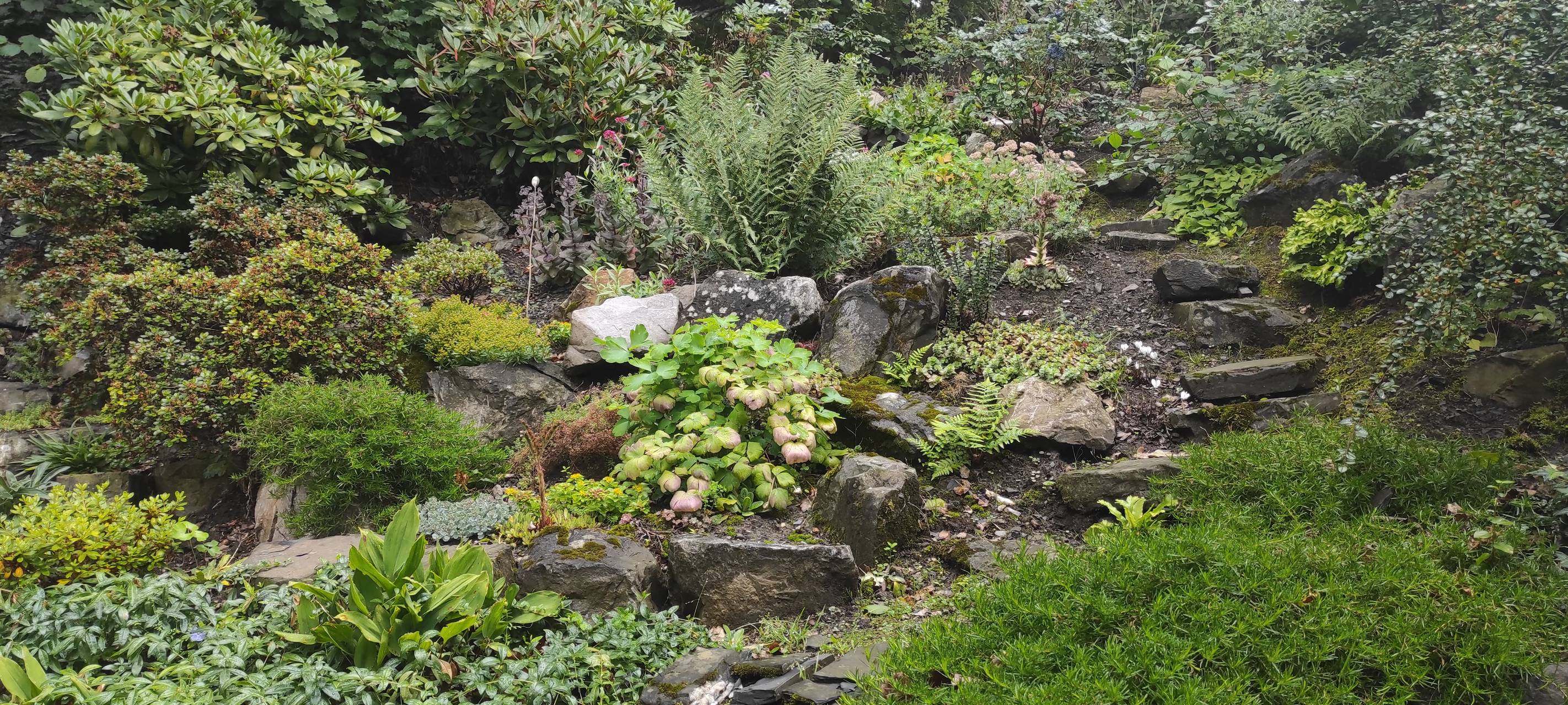 "Offene Gärten" im Märkischen Kreis besuchen