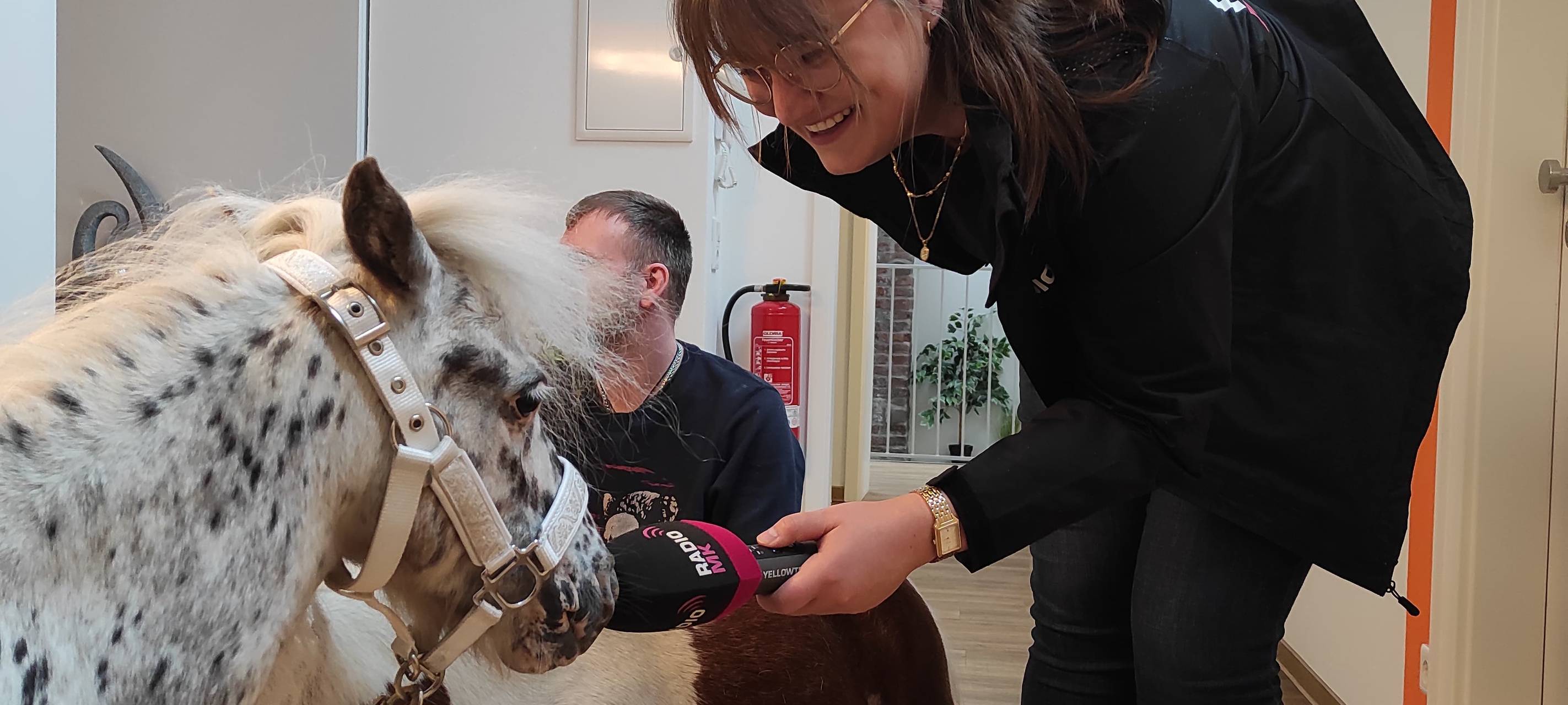 Mini-Therapiepony Pumuckel zu Besuch in Letmathe