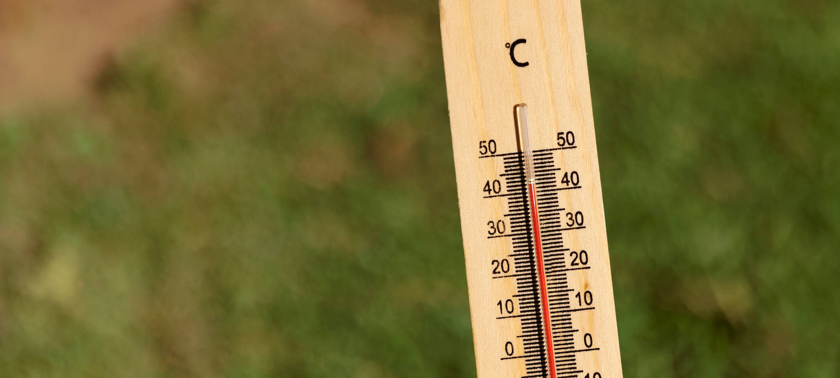 Symbolbild: Thermometer