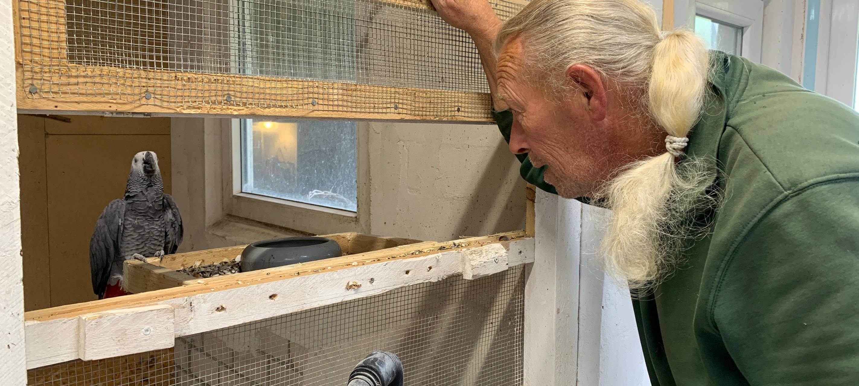 Die Vögel von Norbert Grebe in Rennerde