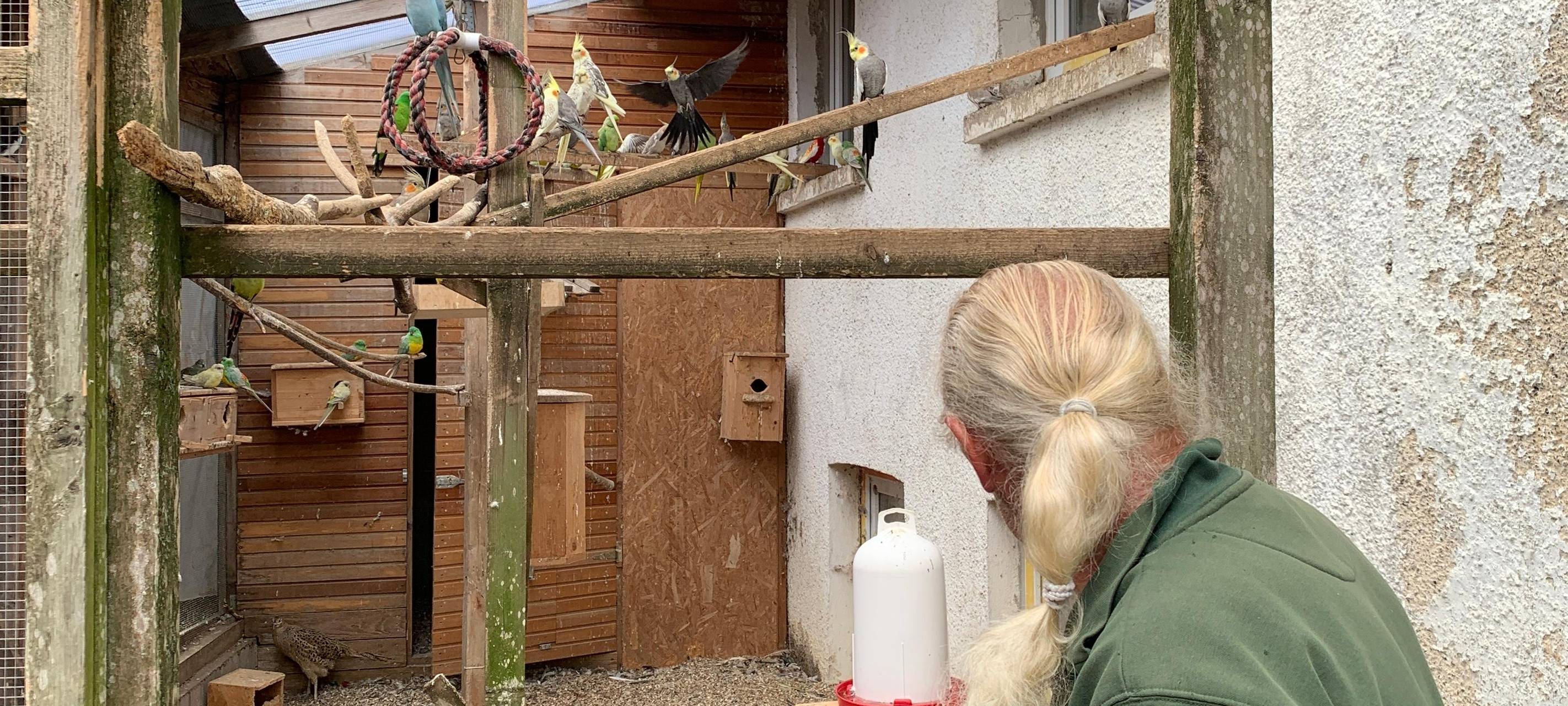Die Vögel von Norbert Grebe in Rennerde