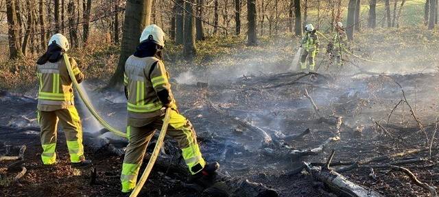 Waldbrandgefahr im Märkischen Kreis steigt