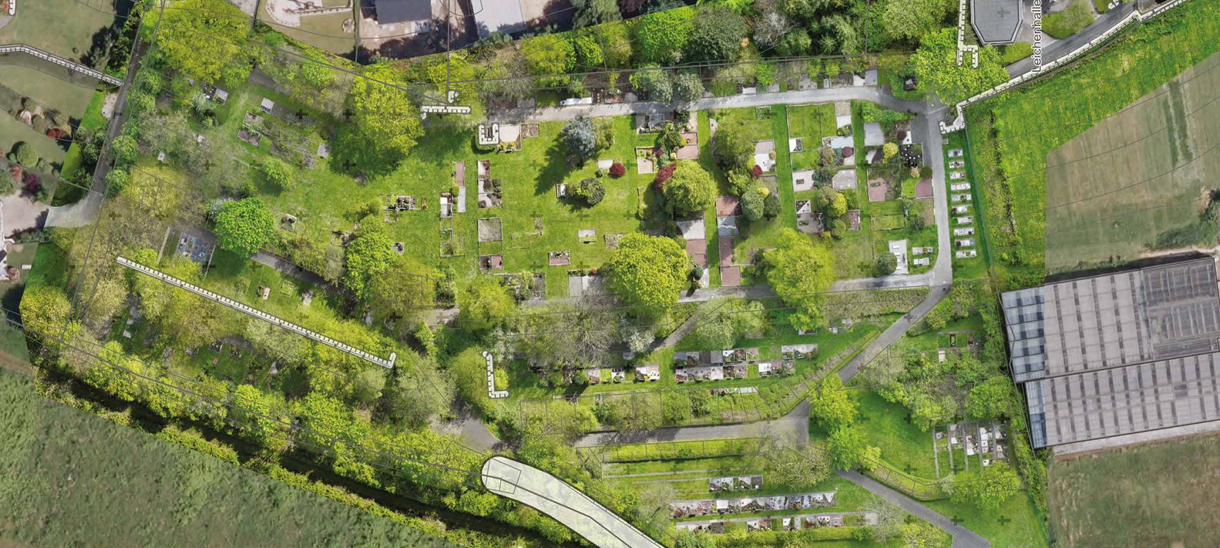 Wildschweine verwüsten Friedhof in Iserlohn-Lössel