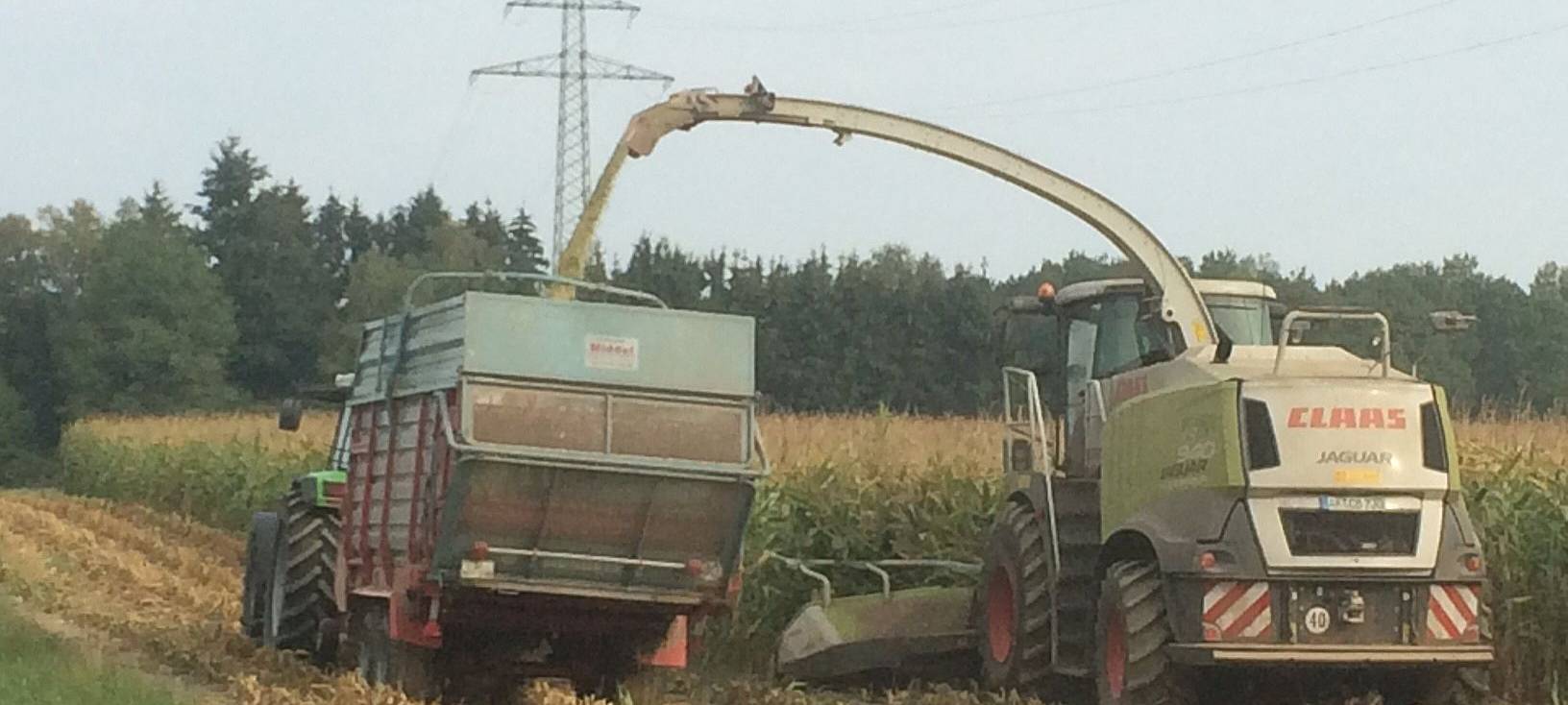 Maisernte im Märkischen Kreis hat begonnen