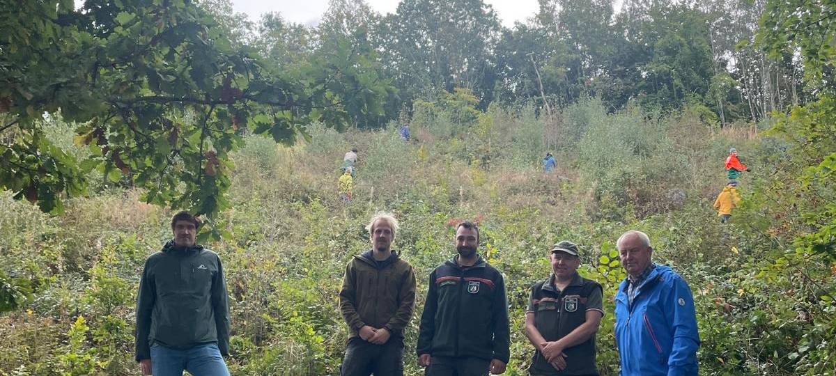 Bergwaldprojekt in Neuenrade