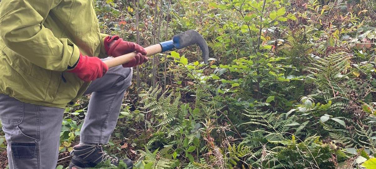 Bergwaldprojekt in Neuenrade