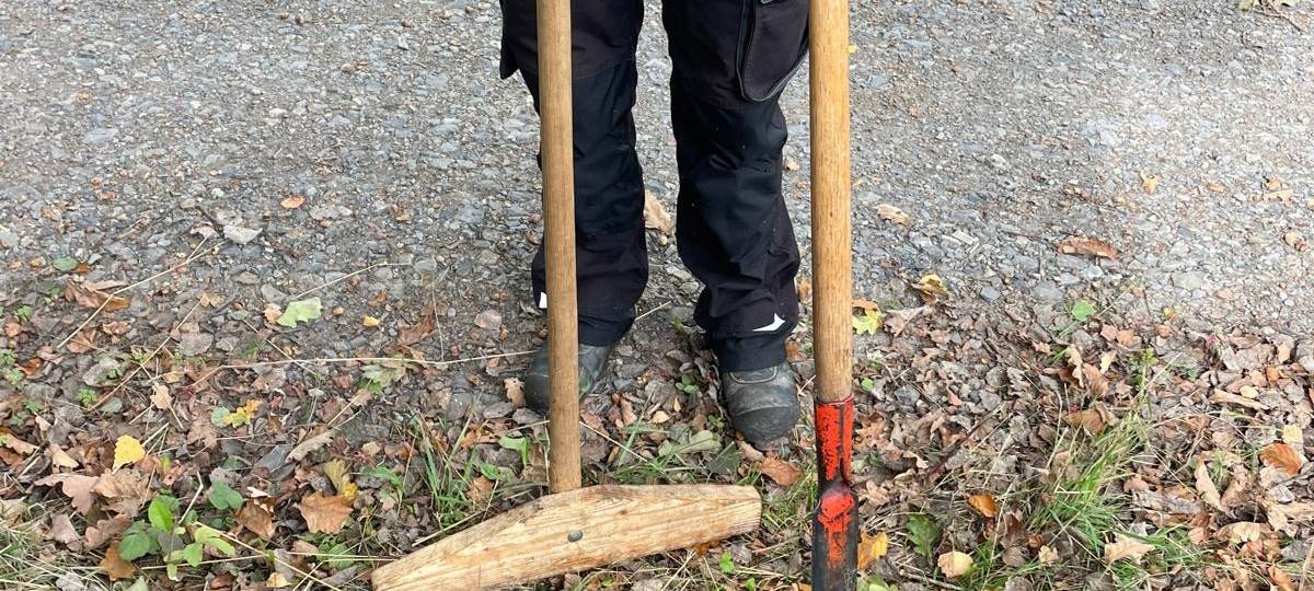 Bergwaldprojekt in Neuenrade