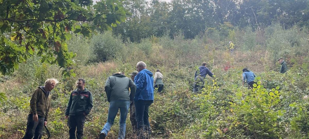 Bergwaldprojekt in Neuenrade