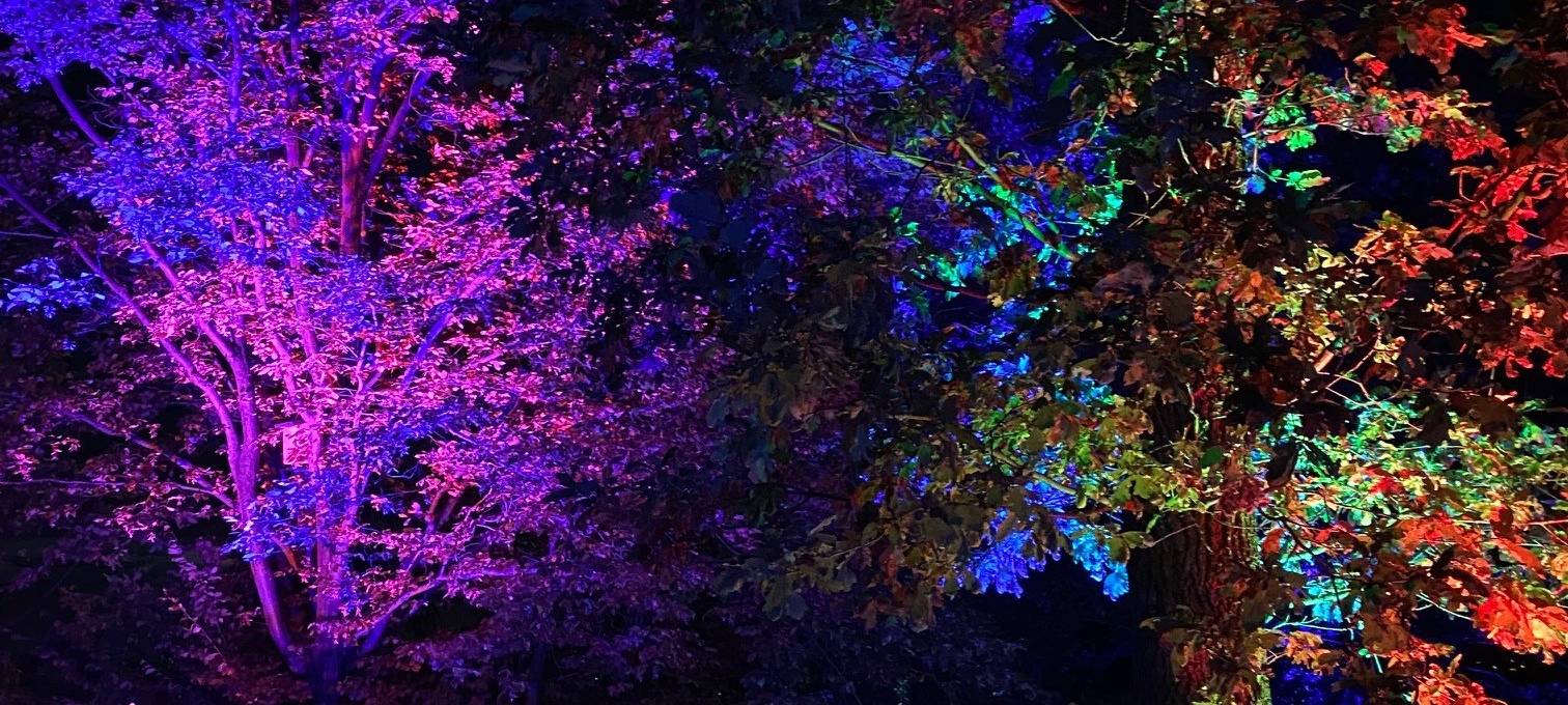 16. HerbstLichtGarten im Sauerlandpark