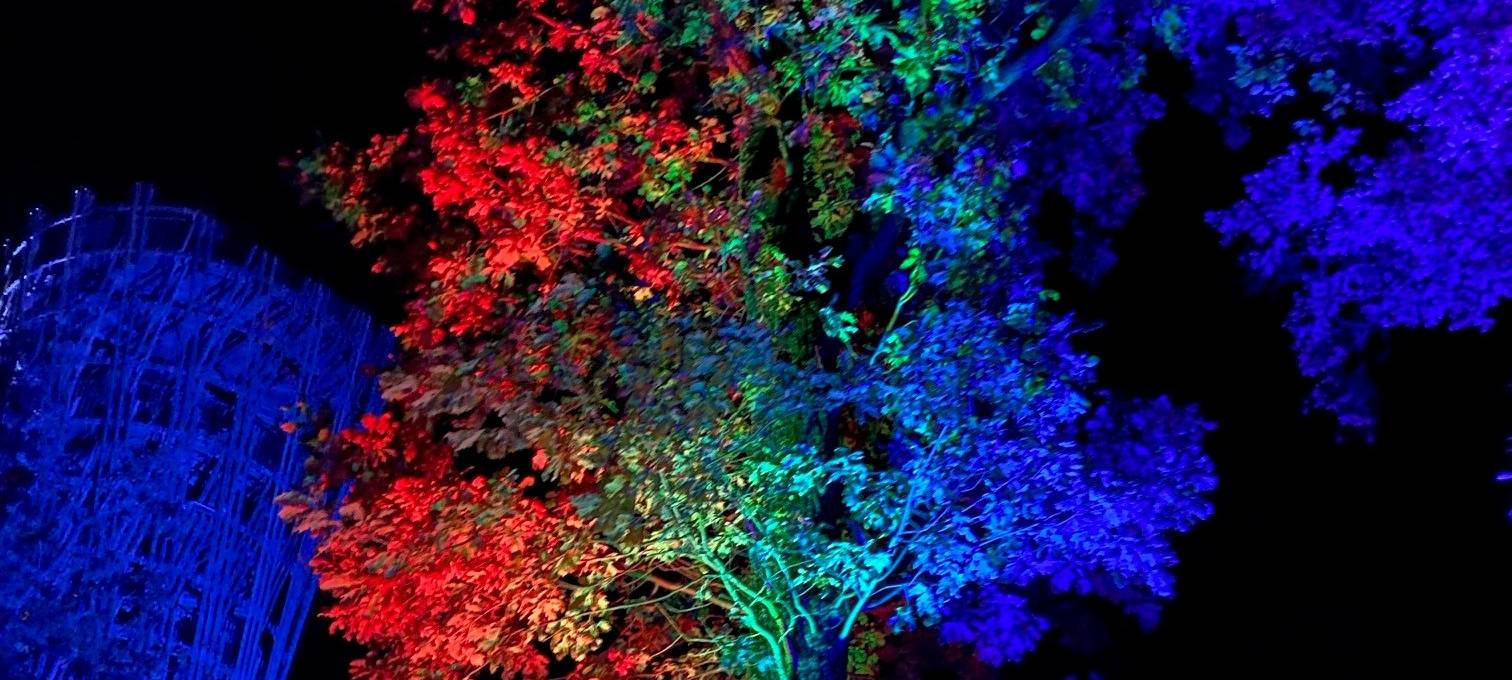 16. HerbstLichtGarten im Sauerlandpark