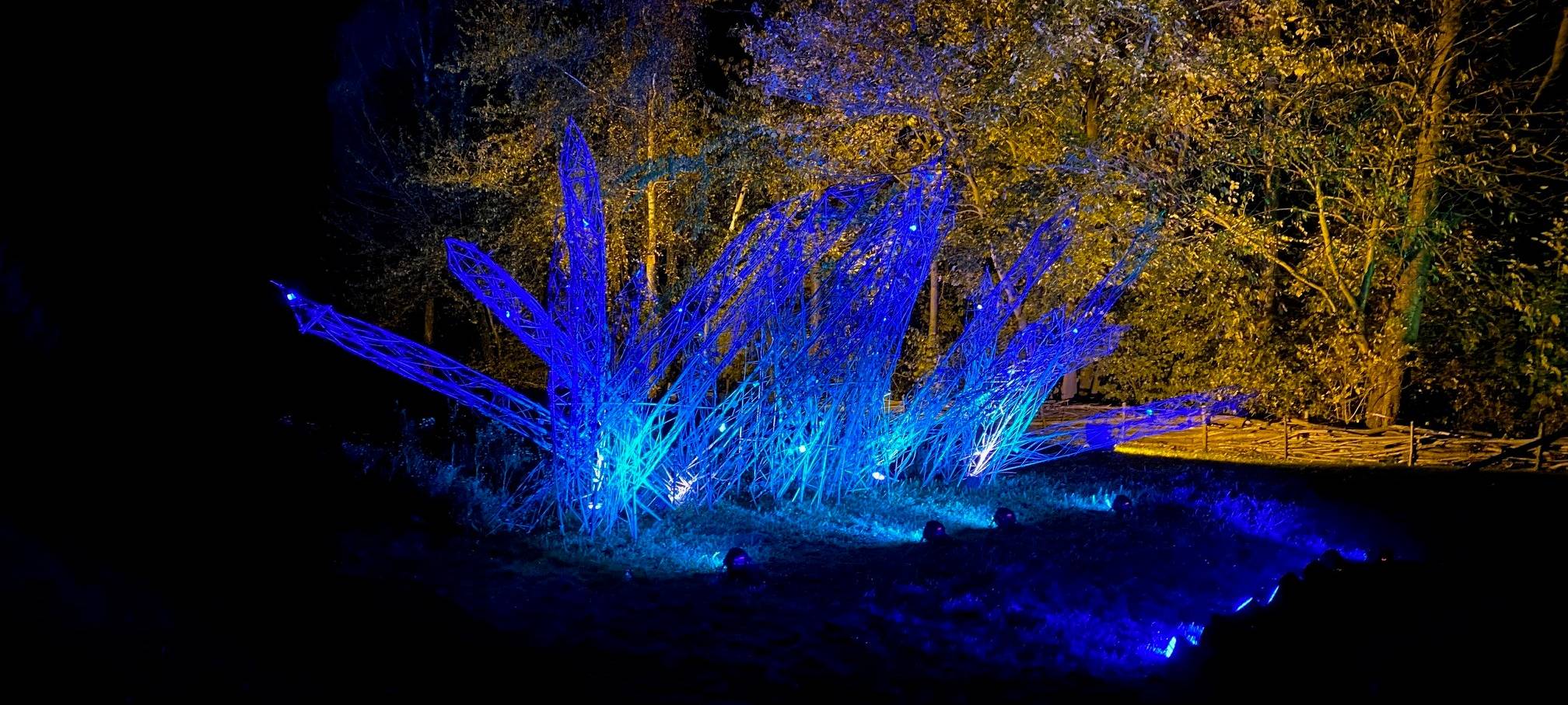 16. HerbstLichtGarten im Sauerlandpark