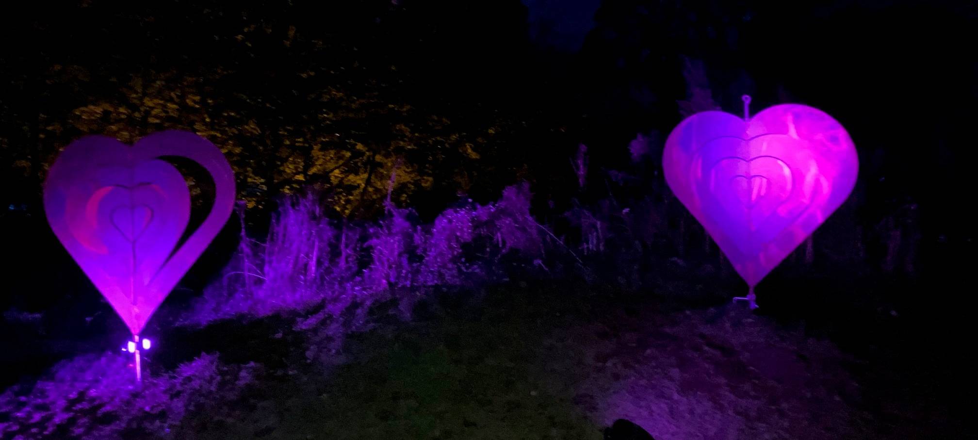 16. HerbstLichtGarten im Sauerlandpark