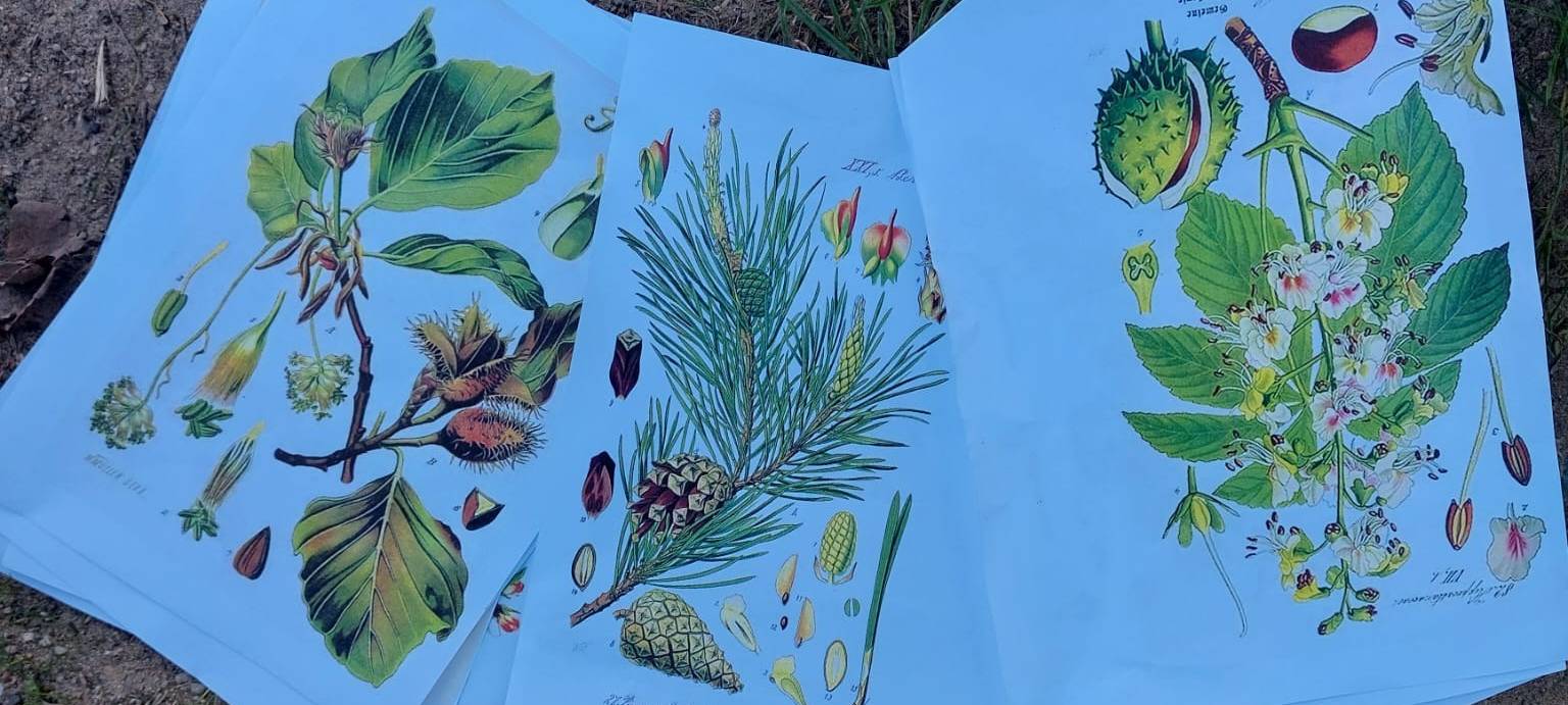 Kleine Landschaftsbauer in Iserlohn-Sümmern