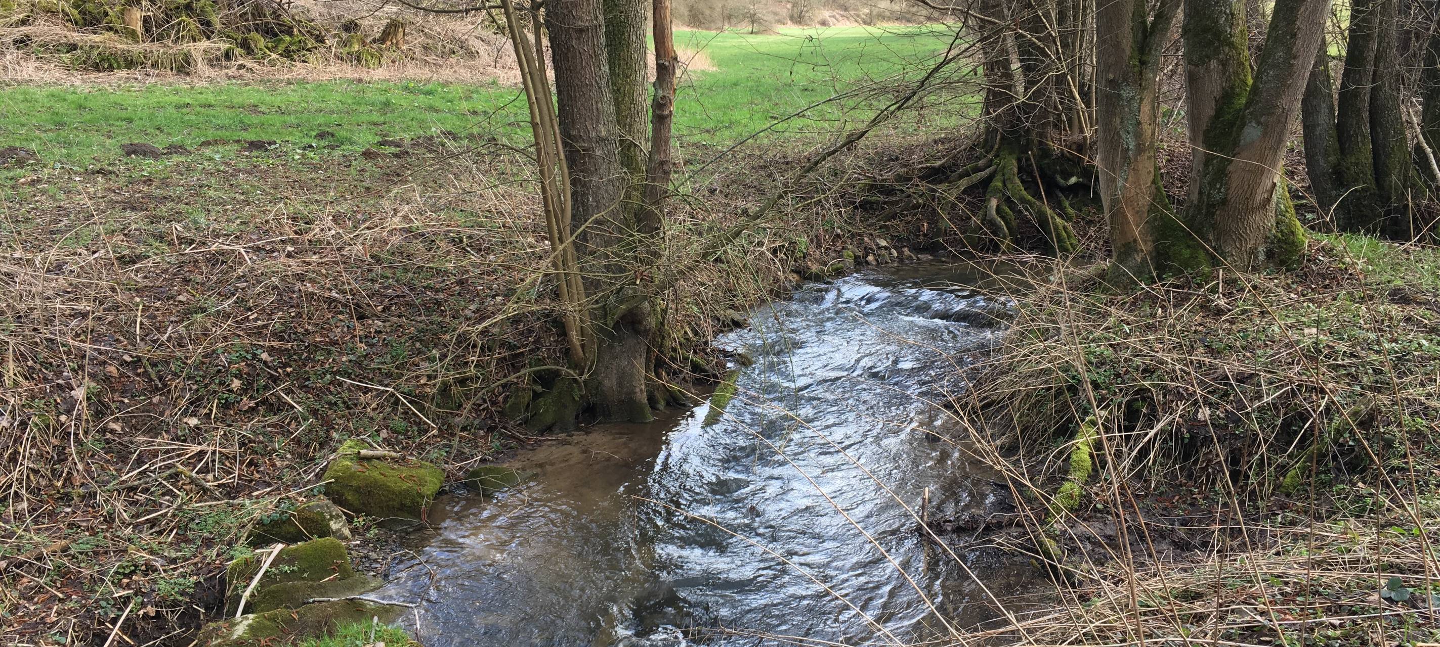 Stadt Hemer startet Gewässersimulation: Vermessungsarbeiten beginnen