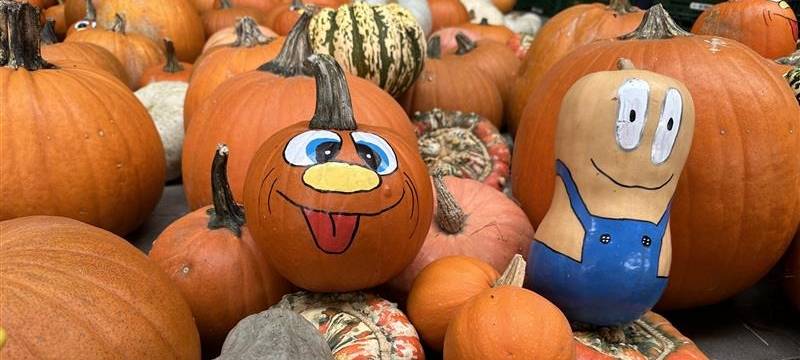 Halloween im Märkischen Kreis: Polizei warnt vor Straftaten