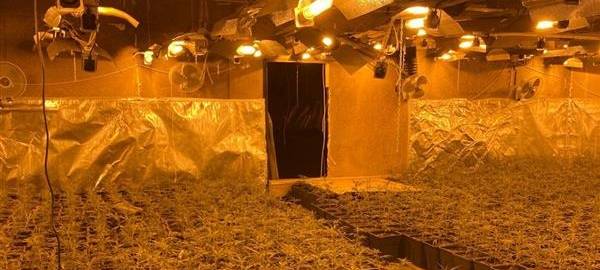 Drogenkrieg: Festnahmen und Verbindungen nach Lüdenscheid