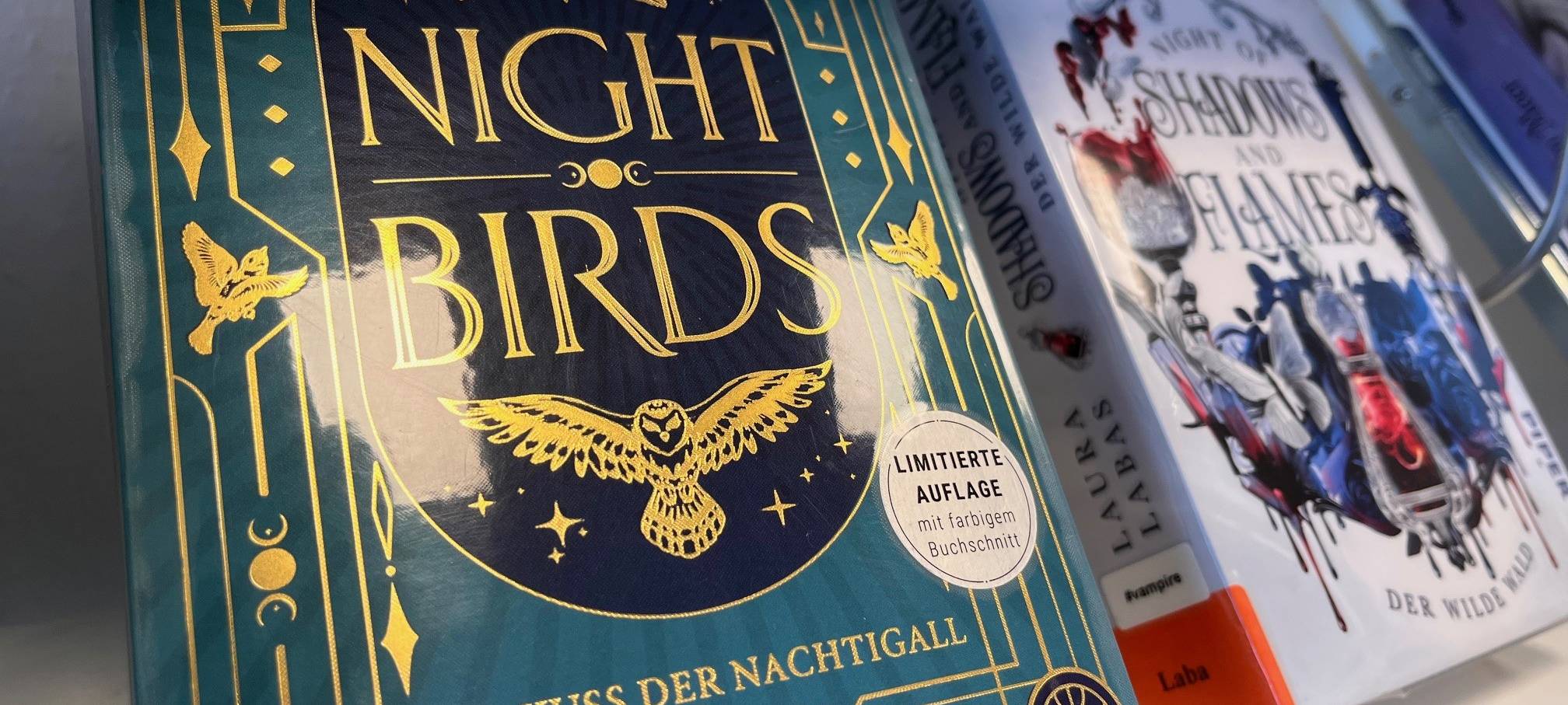 Bücherei Balve will LEADER-Projekt sein