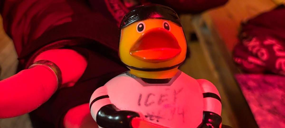 Roosters im Sauerlandpark Hemer