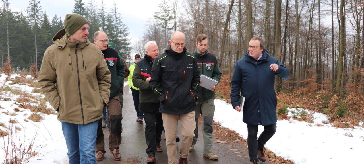Wilde Wälder im MK: Natur darf wieder Natur sein