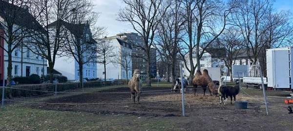 Zirkus Renz Lüdenscheid: Neues Tierzelt dank Spenden